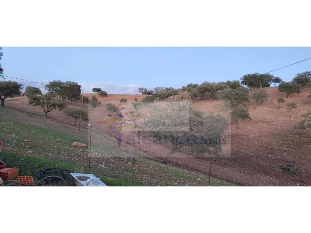 Propriedade rural com área total de 9 hectares - zona de Vila Nova ... - Grande imagem: 5/6