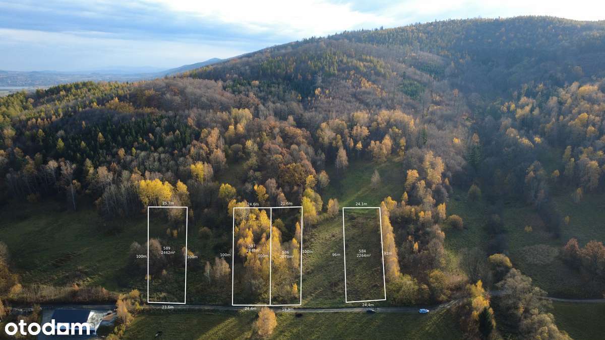 4 Działki przy lesie z widokiem na Góry Sowie-0