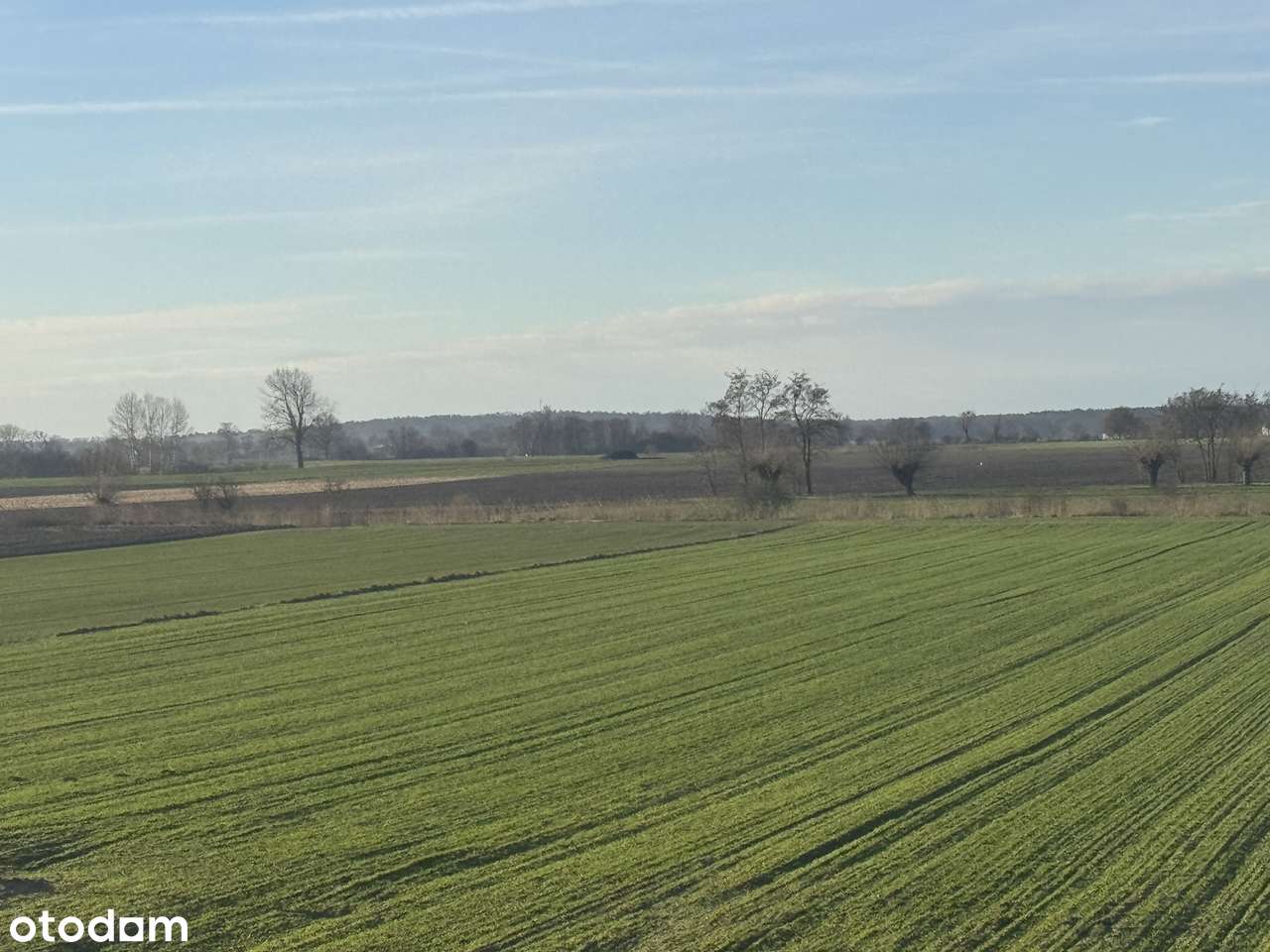 Konarzewo - Działka inwestycyjna z MPZP blisko S11 i Poznania - Pełny obrazek: 3/5