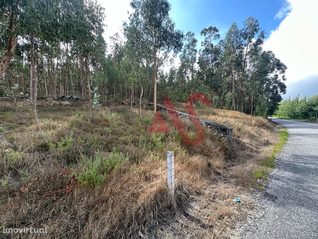 Terreno com 15.329m2 em Sande São Lourenço, Guimarães