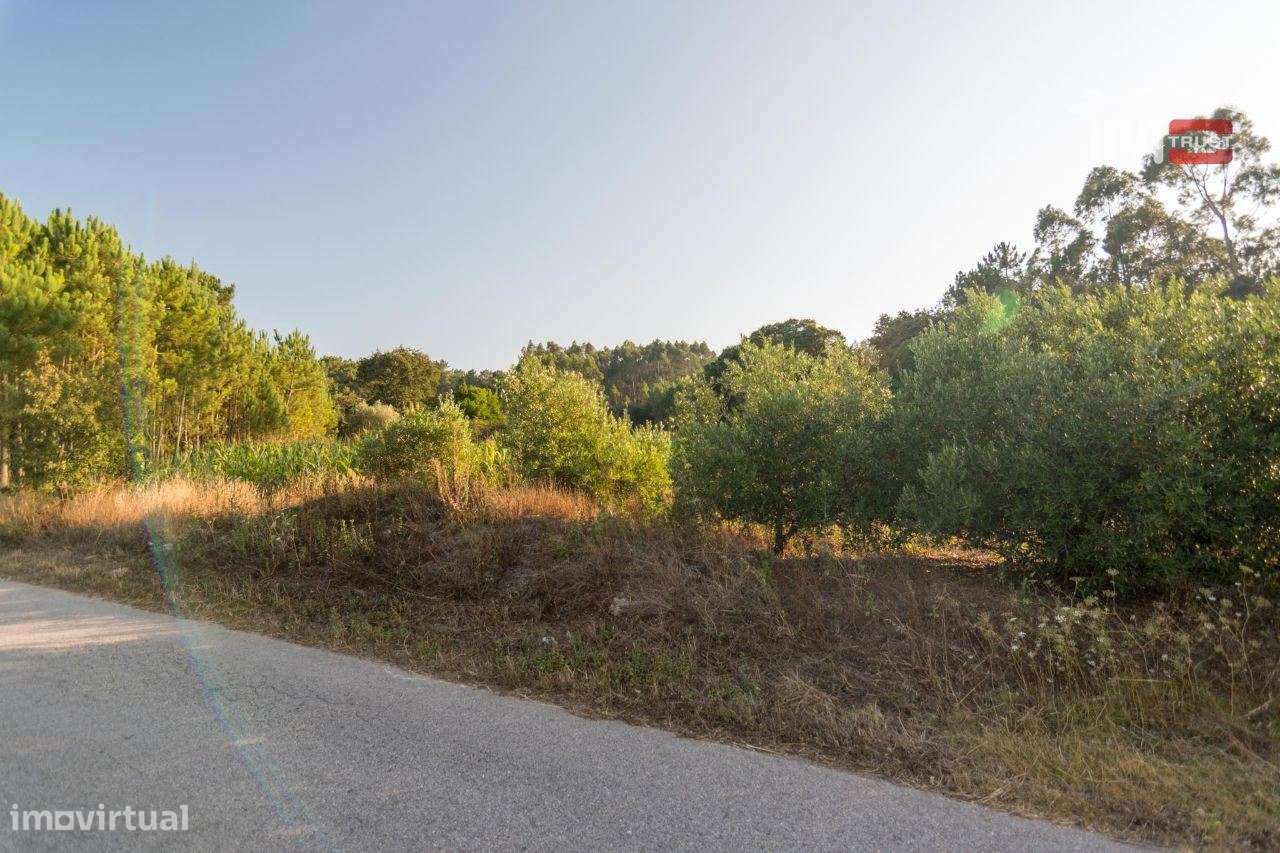 TERRENO RUSTICO COM AREA DE 680 COM OLIVAL EM BOUCEIROS PORTO DE MO... - Grande imagem: 4/4