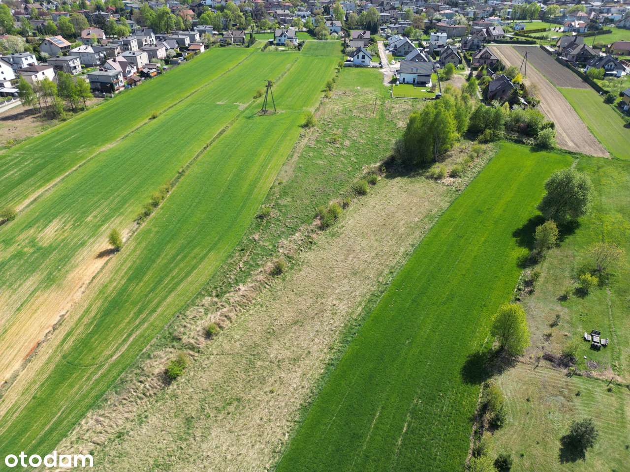 Działka w Rybniku-1