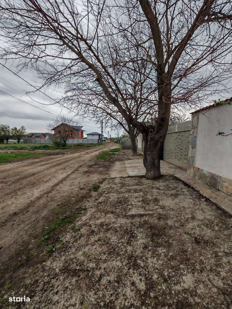 Teren de Vanzare, Comuna Berceni, Judetul Ilfov, Strada Serelor-5