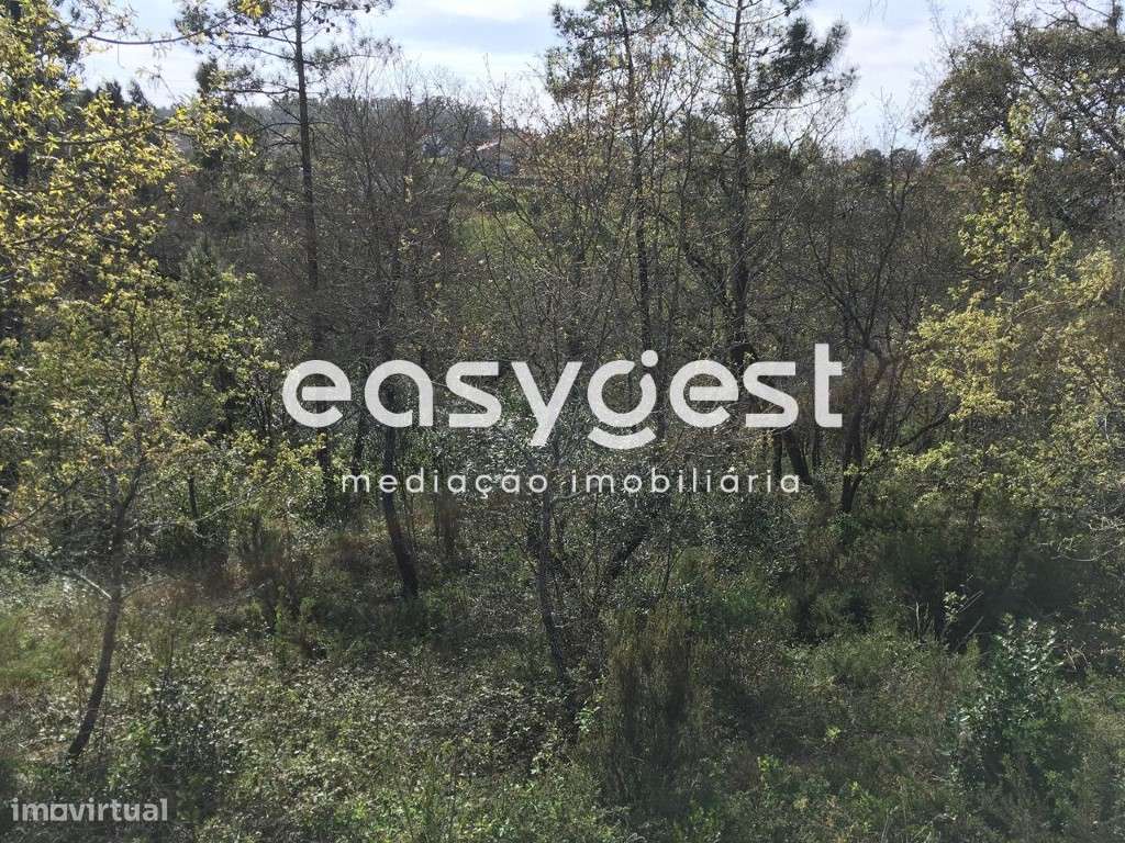 Terreno com possibilidade de construção - Grande imagem: 4/6
