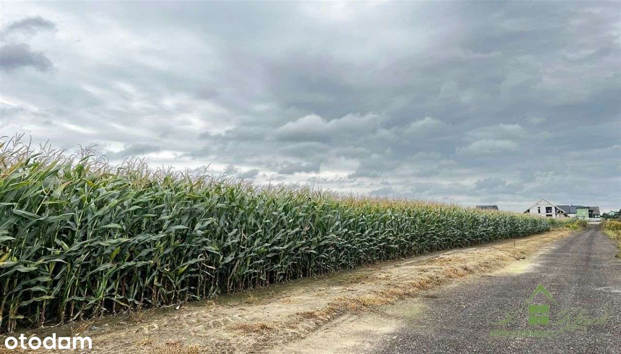 Działki Budowlane Mościska 3656M2-3