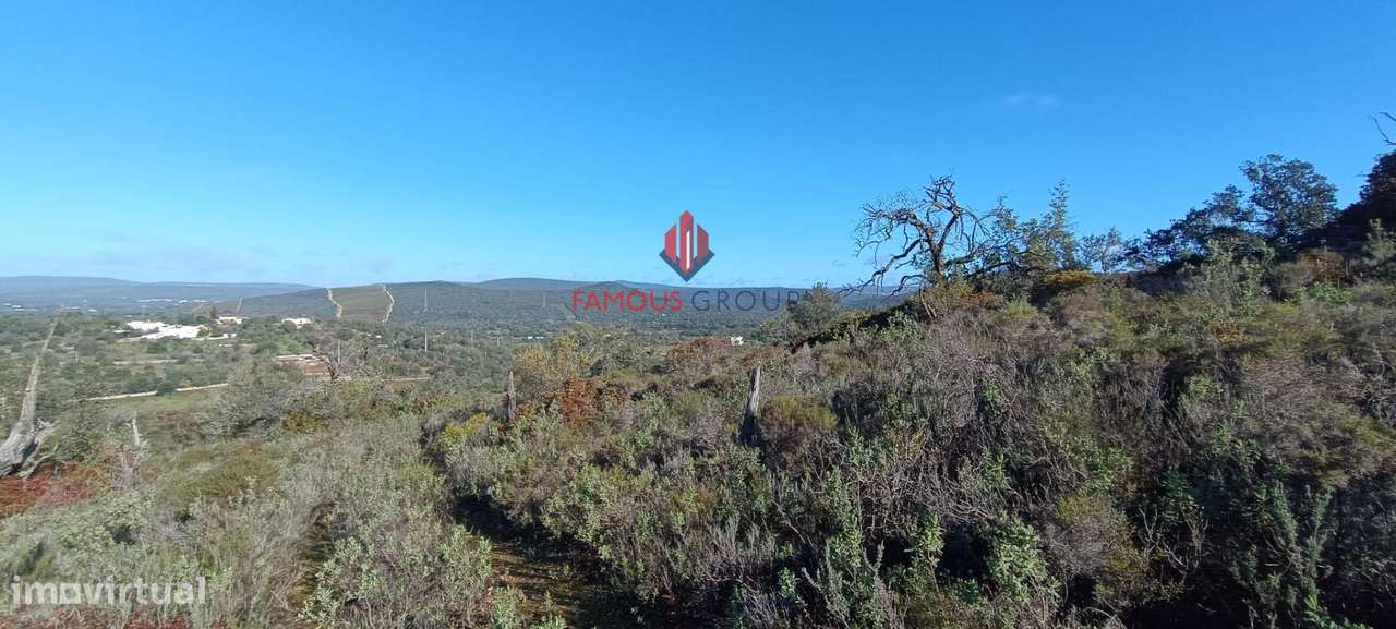 Terreno Rústico com 16 000 m2 em Paderne Algarve - Grande imagem: 4/11