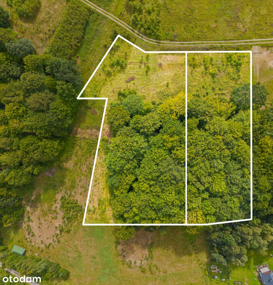 Trzepowo k. Przywidza | Piękna działka z lasem | Wydane WZ - Pełny obrazek: 4/9
