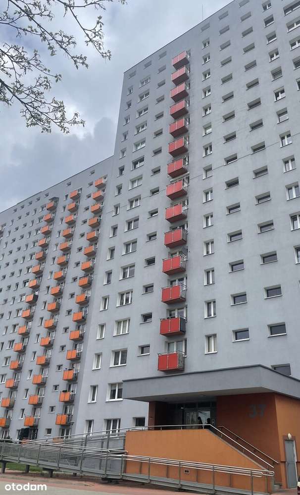 Chrobrego, kawalerka, od 02.01, balkon, piwnica - Pełny obrazek: 1/9