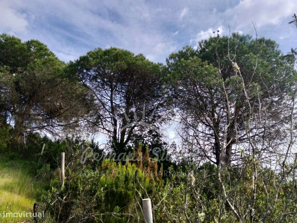 Terreno Rústico - Ademas - Grande imagem: 2/15