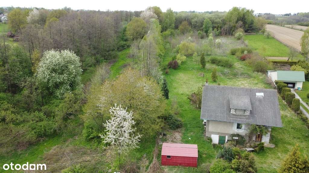 36/18292/ODS - Pełny obrazek: 4/15