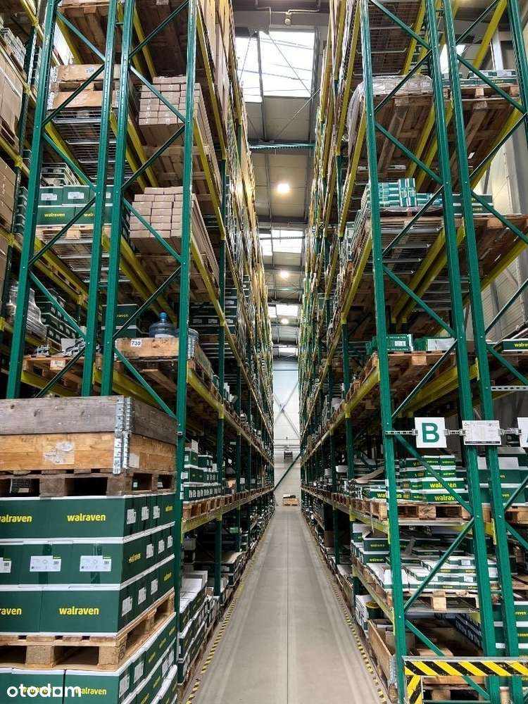 budynek biurowo - magazynowy, K-ów Łęg, 1312 palet - Pełny obrazek: 5/20