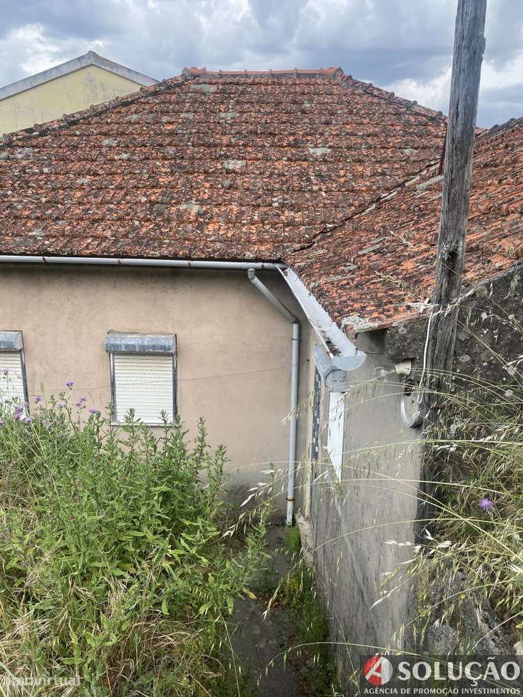 Moradia c/terreno agrícola-16