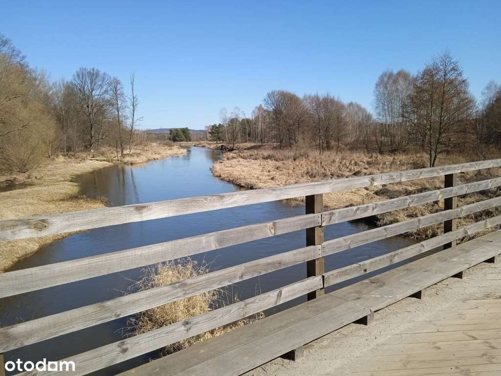 MEGA OBNIŻKA!!! OKAZJA!!Sprzedam dom w malowniczej okolicy na Pilicą-16