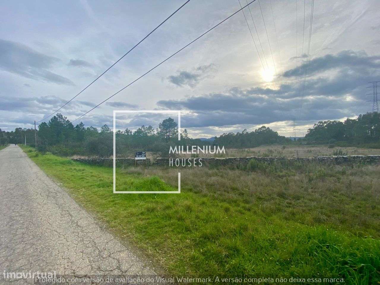 **Terreno Excecional em Sarnadas de Rodão**-7