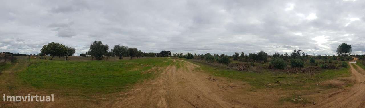 Terreno Rústico de Cultura Arvense     ...Possível Exploração Foto-Vol - Grande imagem: 5/10