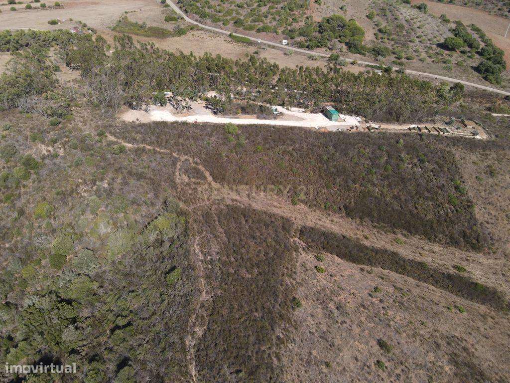 Terreno Rústico em Barão de São Miguel - Grande imagem: 5/20