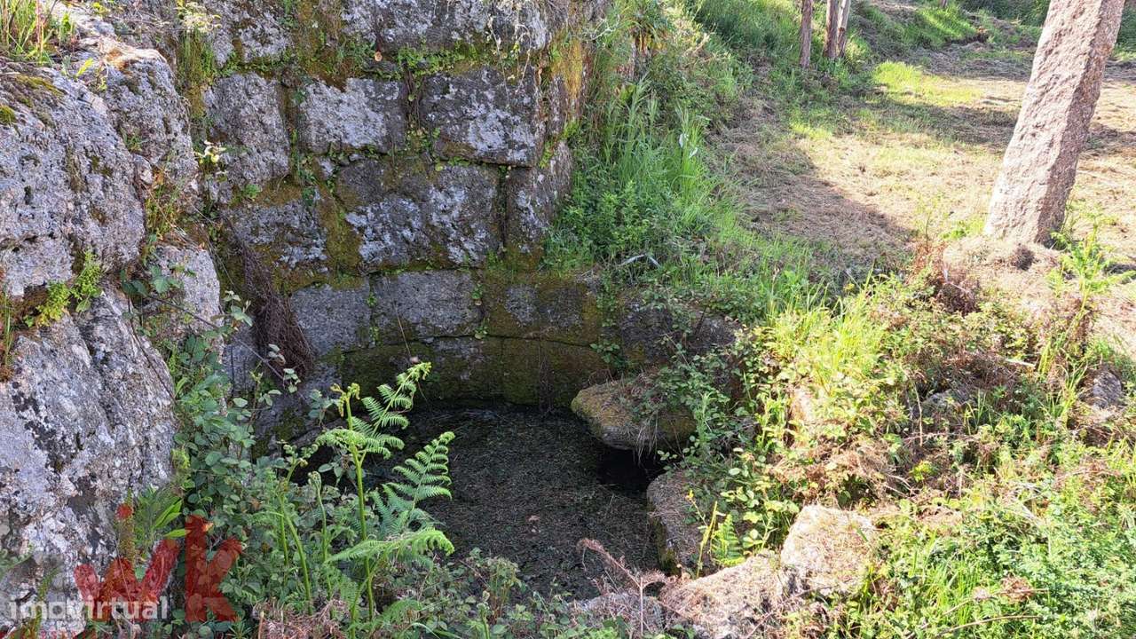 QUINTA cerca 1.5Ha, com CASA PEDRA 100m2, registada como habitação-9