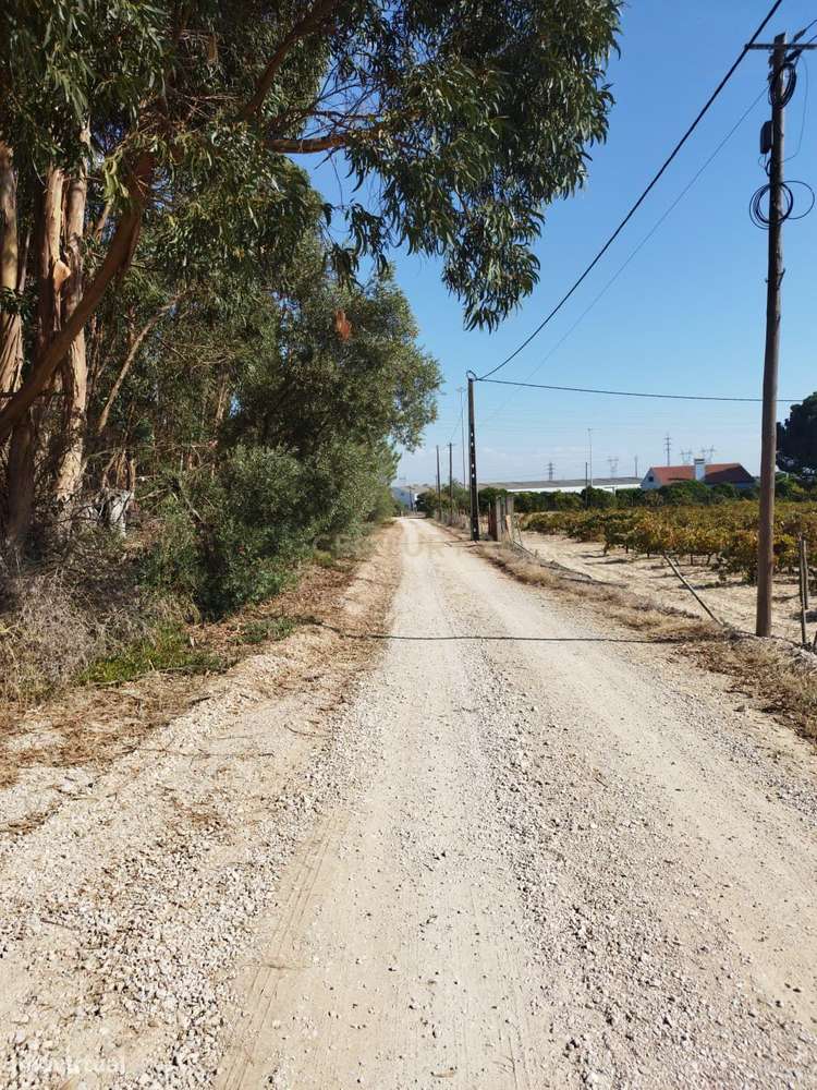 Terreno, 7 525 m², São Sebastião - Grande imagem: 5/12