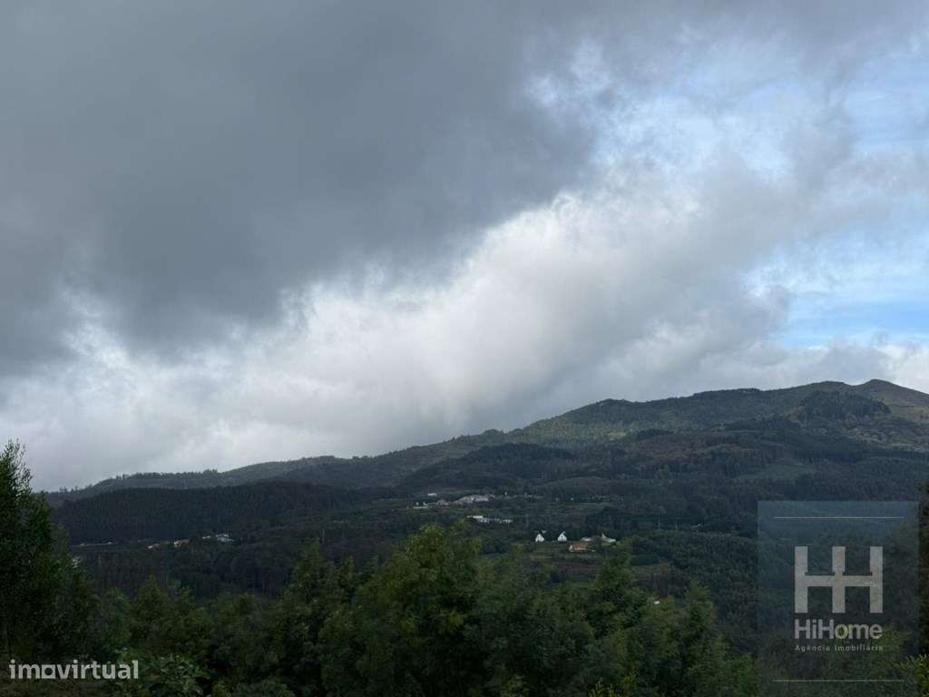 Terreno Rústico no Santo António da Serra, Santa Cruz - Grande imagem: 5/8