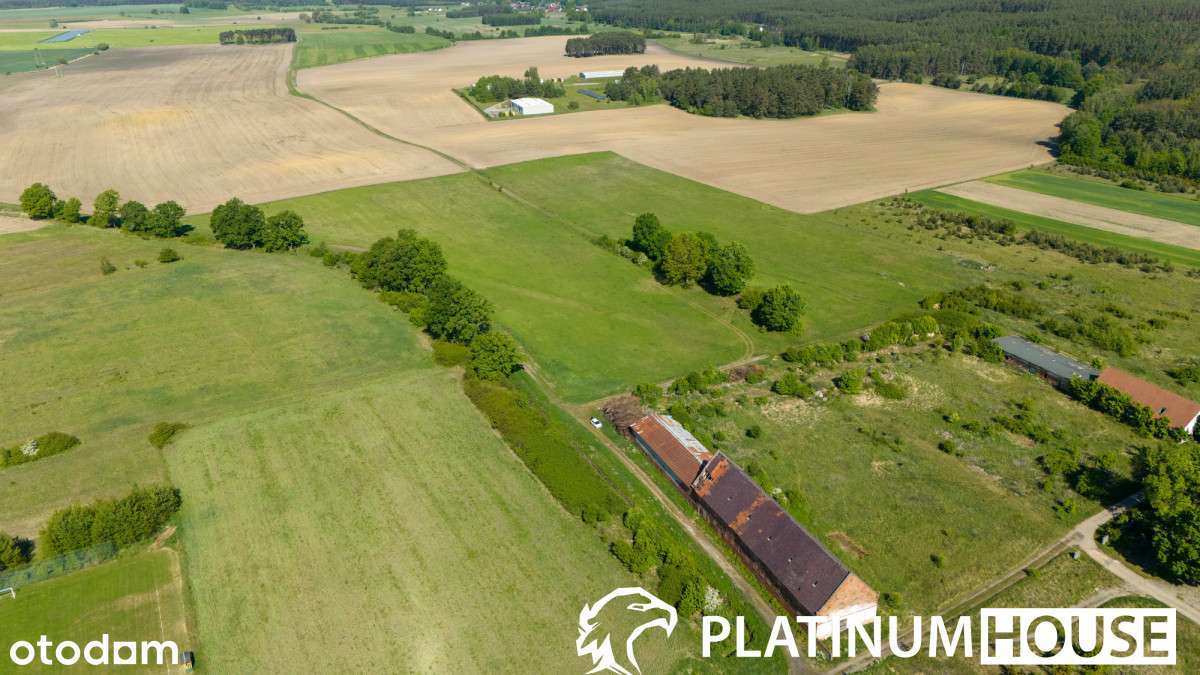 Działka z Mpzp | Leśniów Wielki | 15 min od ZG - Pełny obrazek: 4/8