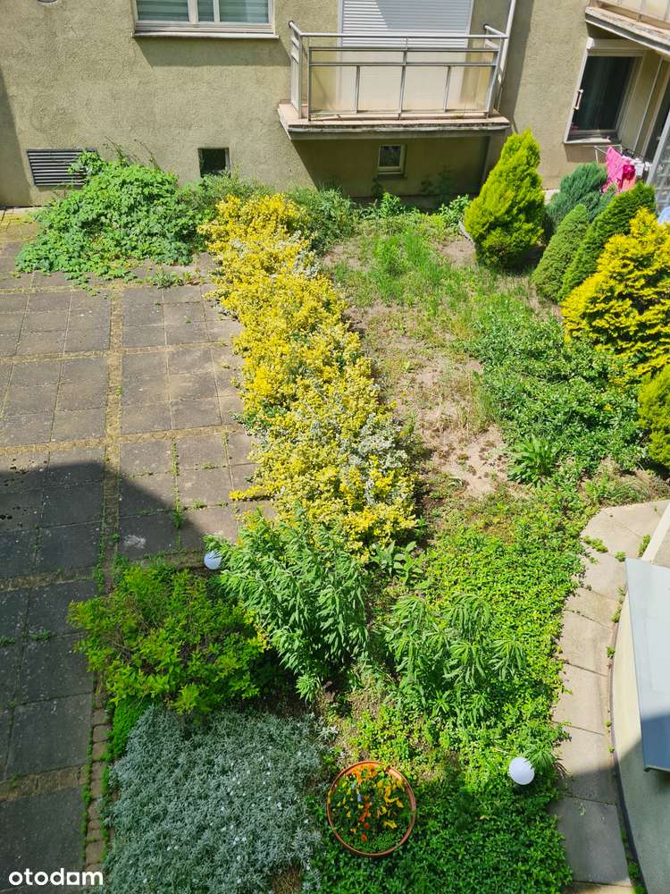 Słoneczne 39m | duży balkon | obok parku i PST | 1. piętro-16