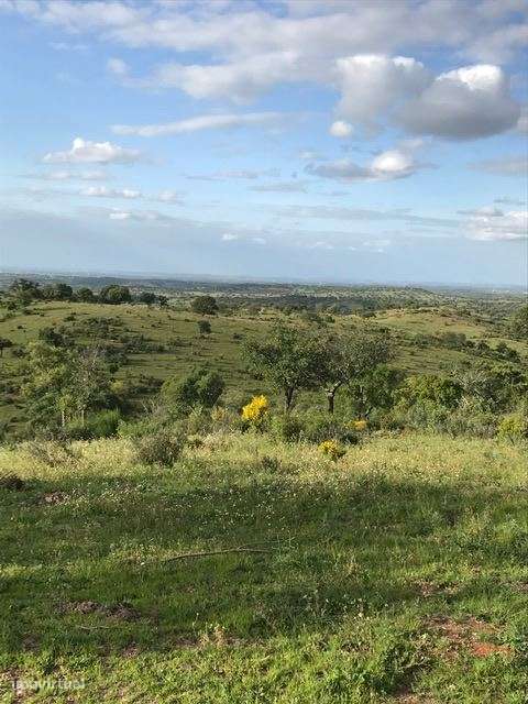 Herdade, para venda, Moura - Safara e Santo Aleixo da Restauração-3