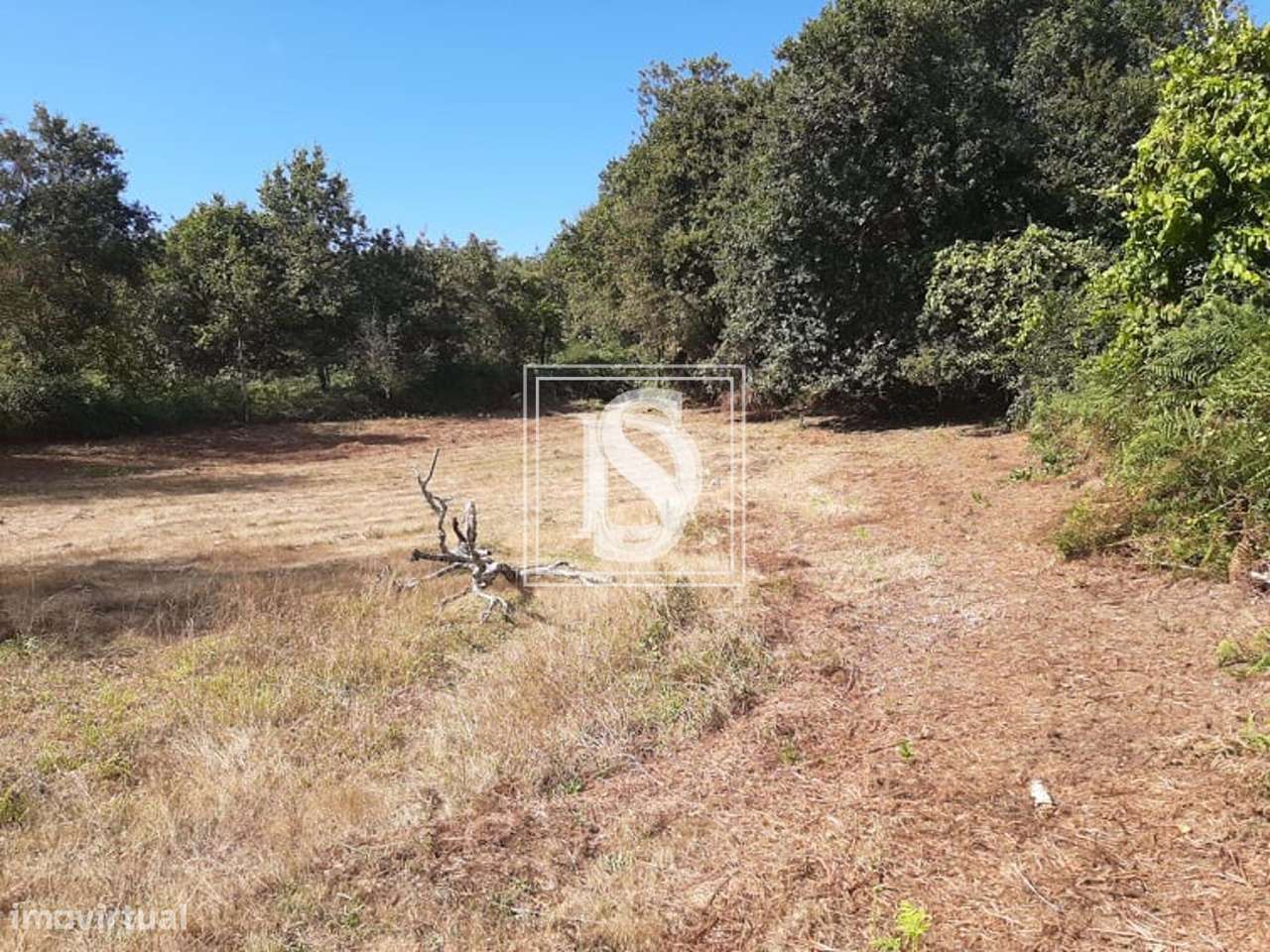 Terreno Não definido em UDF de Anissó e Soutelo - Grande imagem: 5/9