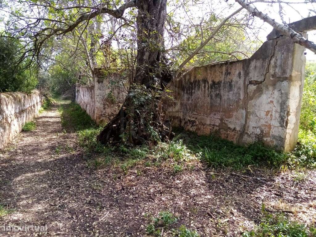 Terreno Rustico com 11 136m2, Loulé, Algarve - Grande imagem: 4/18