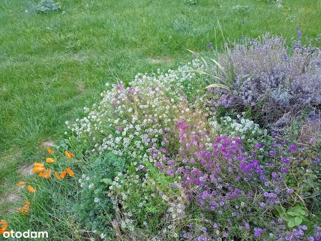 Mieszkanie z ogródkiem Szczepanowice-14