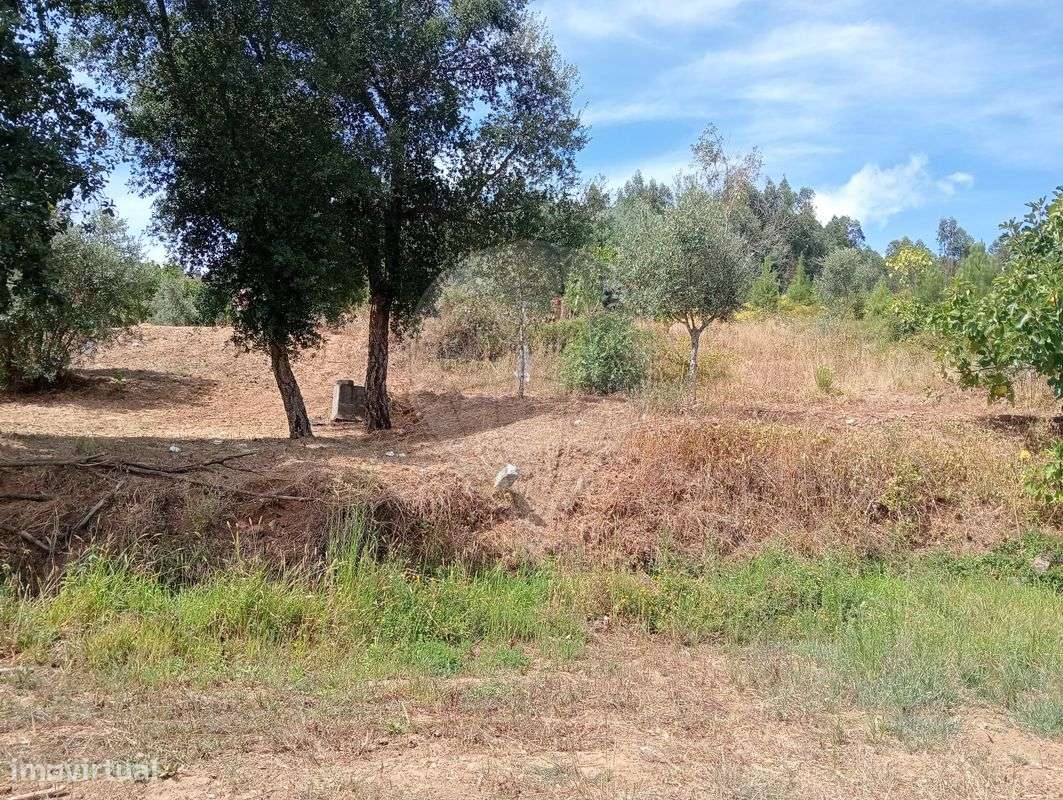 Terreno  para venda - Grande imagem: 5/6