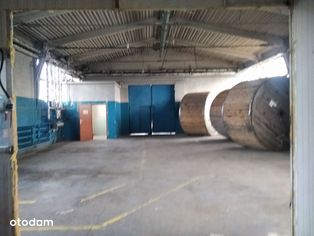 BEZPOŚREDNIO, magazyn o pow. 394 m² - Pełny obrazek: 4/9