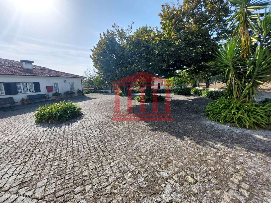 QUINTINHA COM CASA E ANEXOS - AREIAS - BARCELOS-7