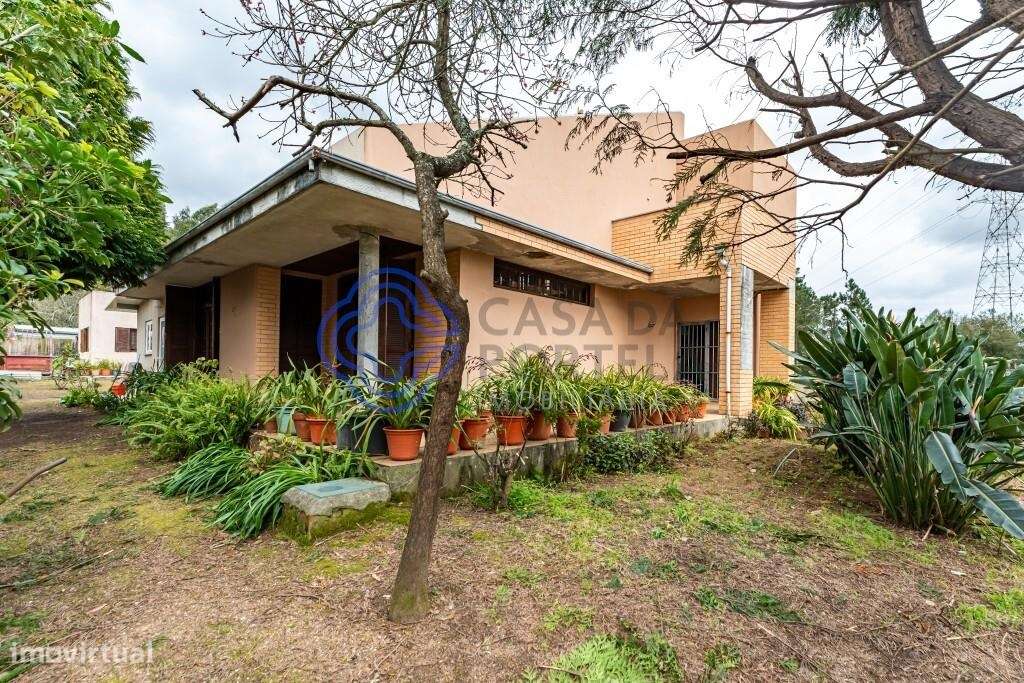 Ampla moradia T4, isolada, de 4 frentes, com terreno de 2719m2 - Grande imagem: 5/26