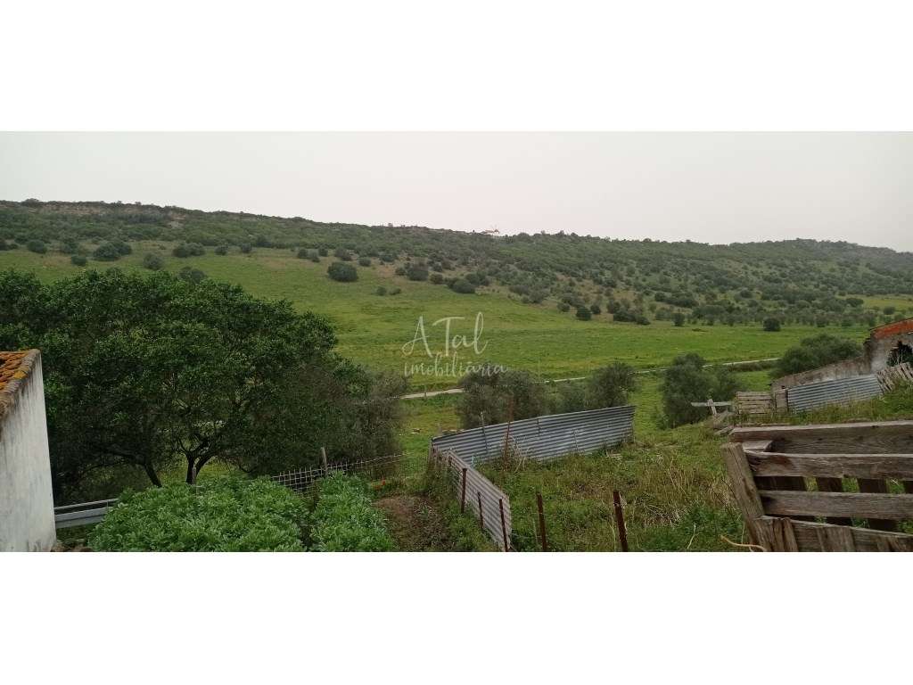 HERDADE NA SERRA DE PALMELA - Grande imagem: 4/22