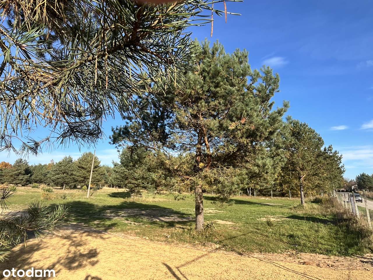 "LEŚNY ZAKĄTEK" - Olszyna koło Herb-13