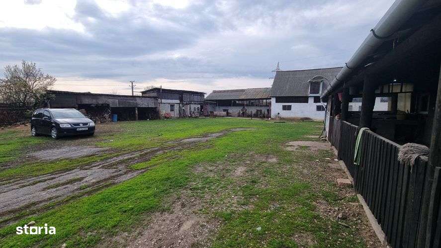 Teren 3980mp cu casa si anexe-Pecica - Imagine principală: 4/10