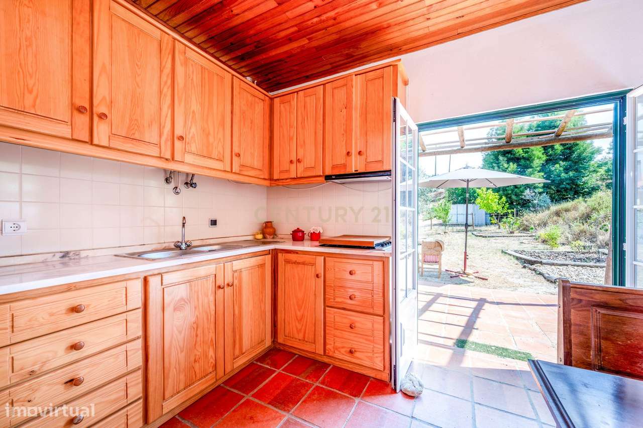 Moradia em Farinha Branca, Montargil-3