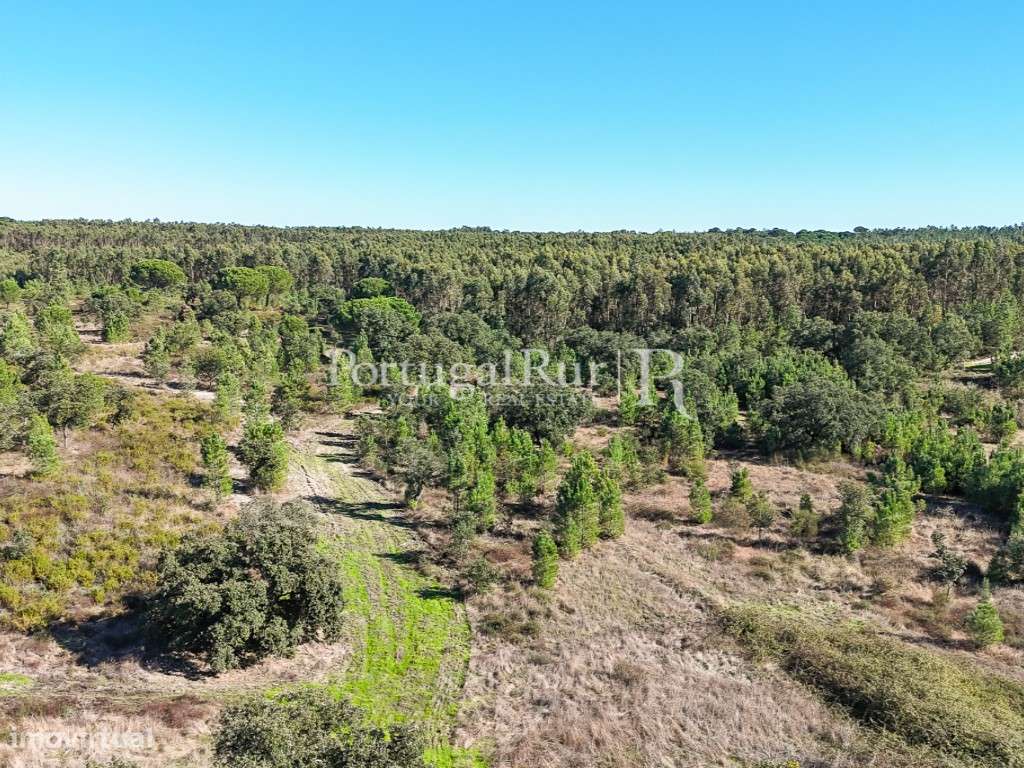 Quinta de 20ha com projeto para Turismo Rural a 1h de Lisboa-46