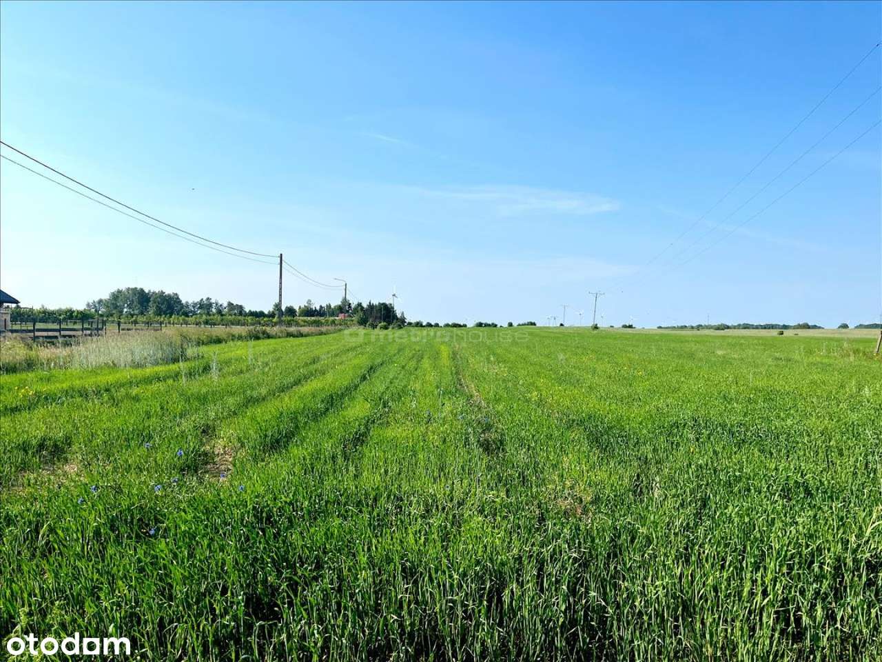 Działka budowlana koło Dygowa blisko Kołobrzegu - Pełny obrazek: 4/13