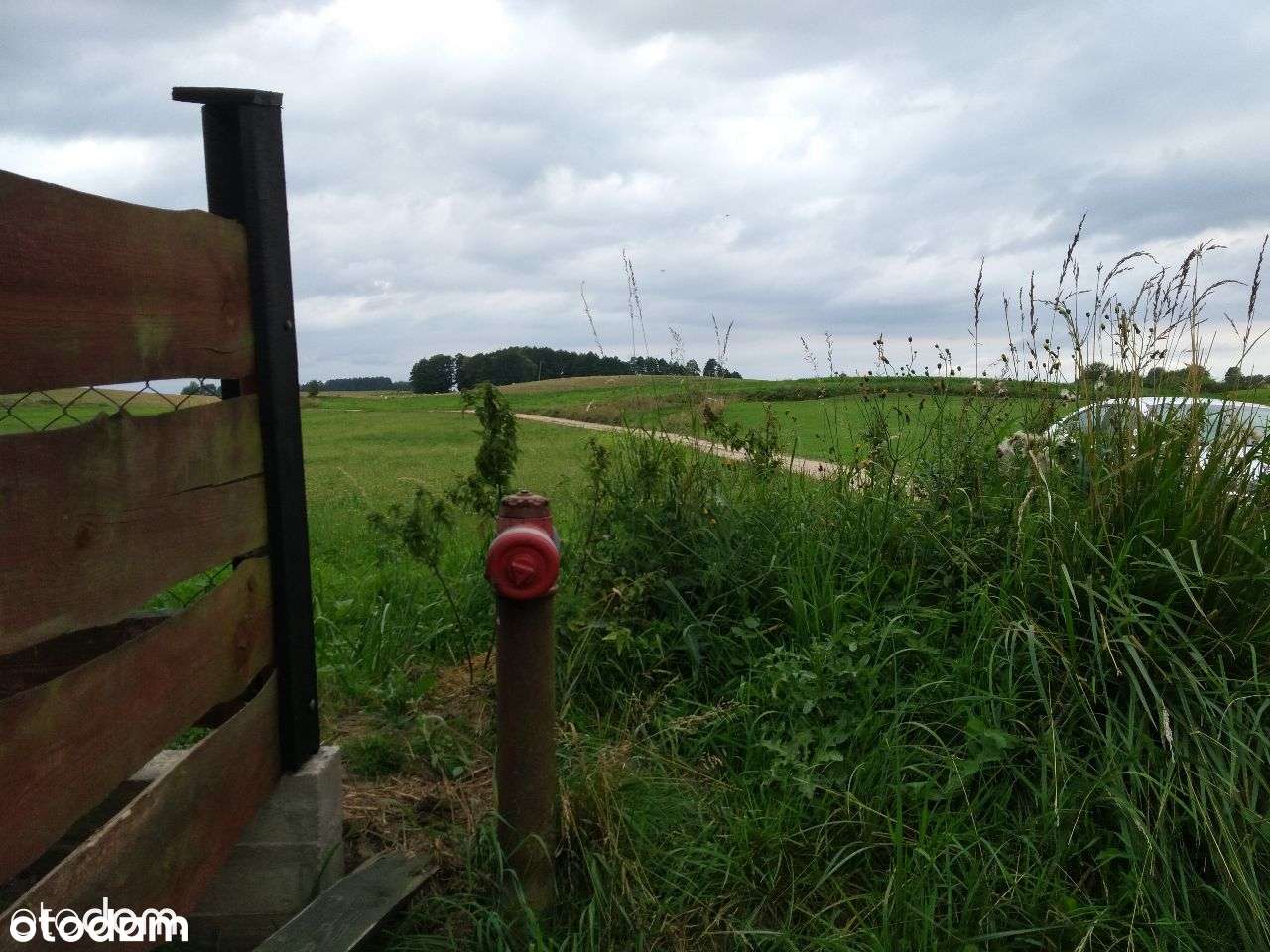 Działki 200m do jeziora Orzechowo/St.Juchy/ MEDIA - Pełny obrazek: 4/8