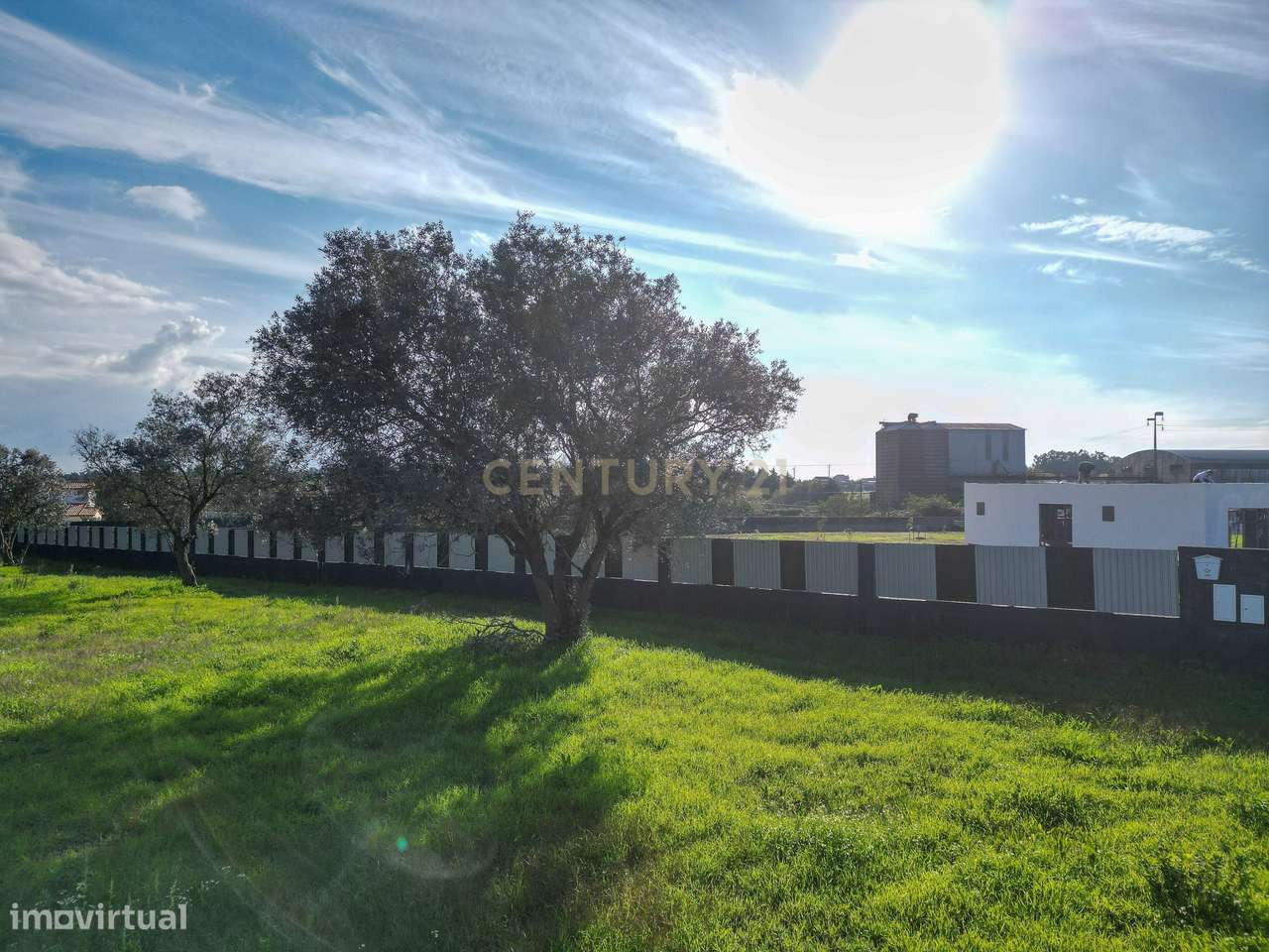 Terreno Agrícola em Montemor o Velho - Oportunidade Única - Grande imagem: 4/23