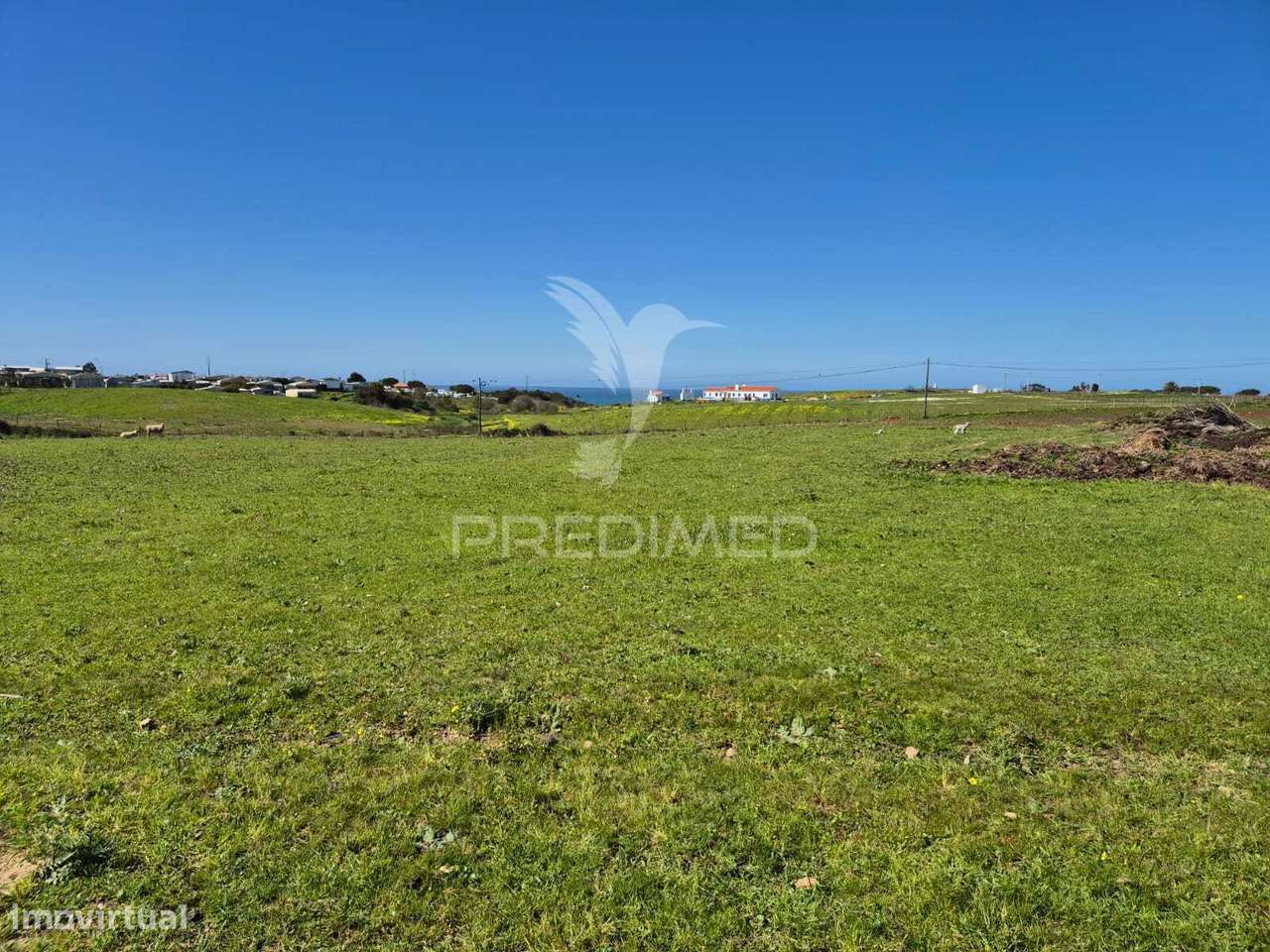 Terreno com 5,3 hc e habitação para reabilitar | Vista mar | Porto... - Grande imagem: 2/14