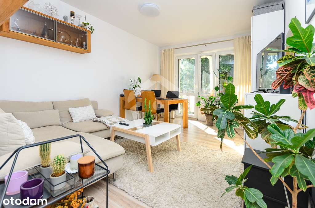 2 niezależne pokoje, jasna duża kuchnia - zadbane-5