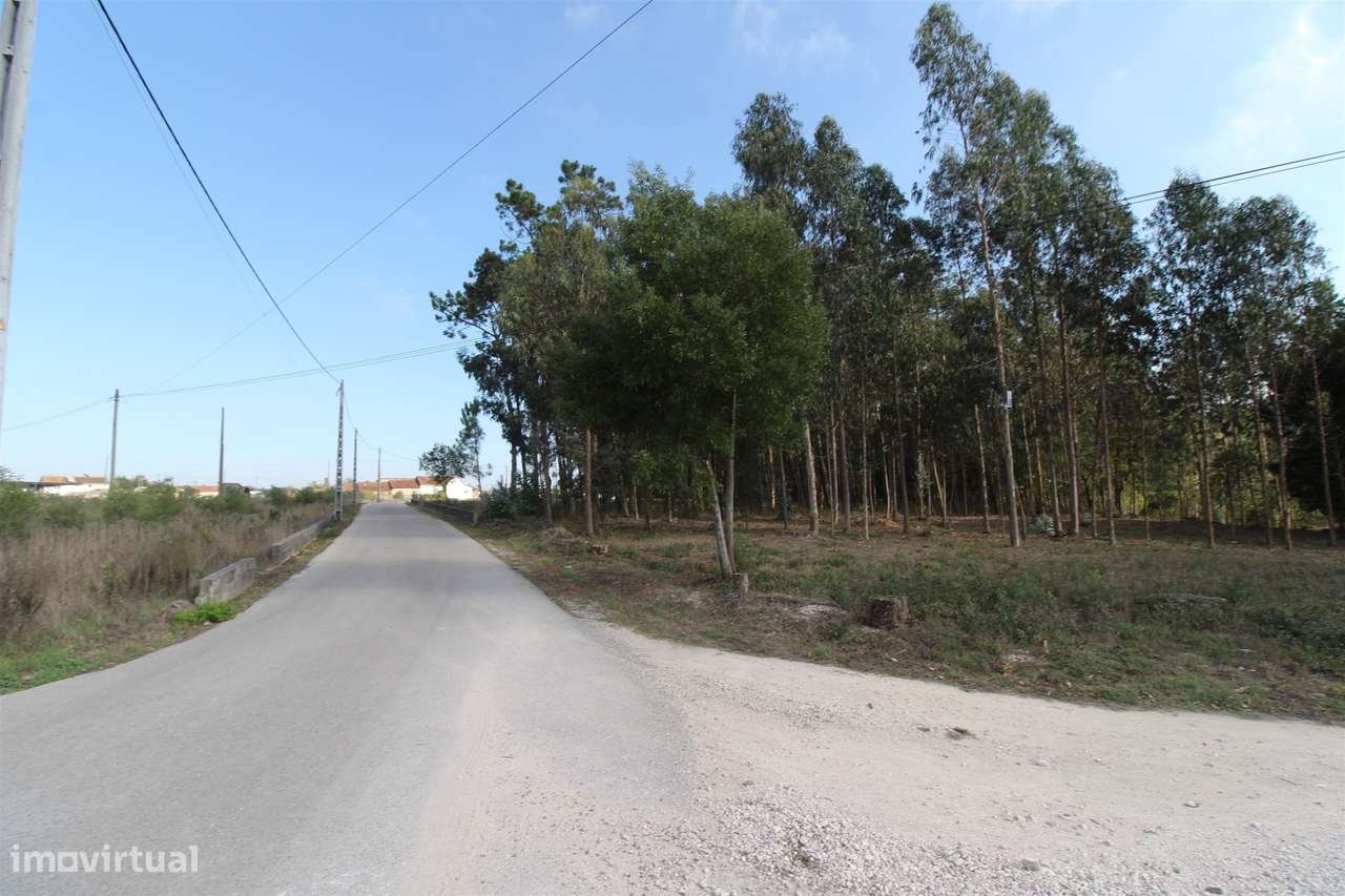 Terreno / Carvide / Leiria - Grande imagem: 2/5