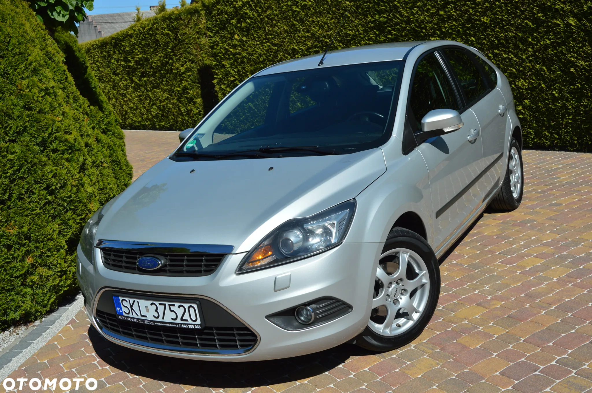 Ford Focus 1.6 Ghia - 37