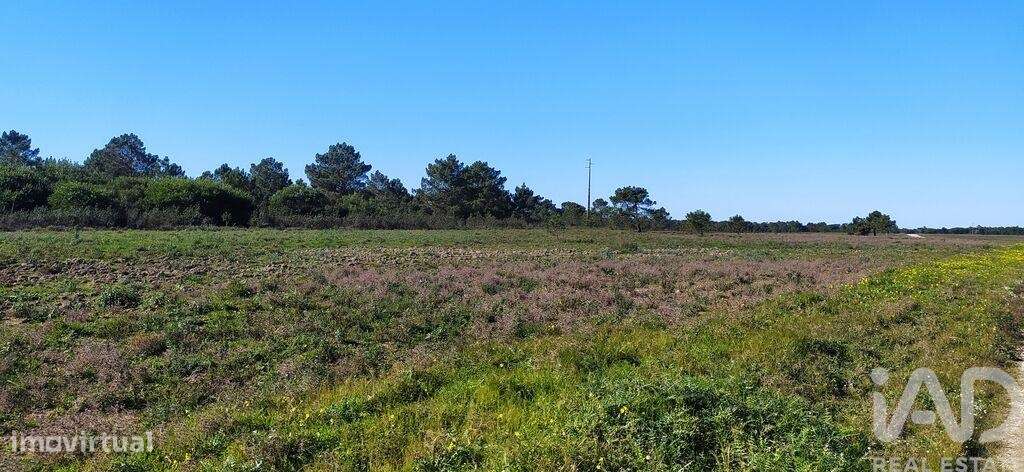 Terreno T1 em Vila do Bispo e Raposeira de 235534,00 m2 - Grande imagem: 4/25