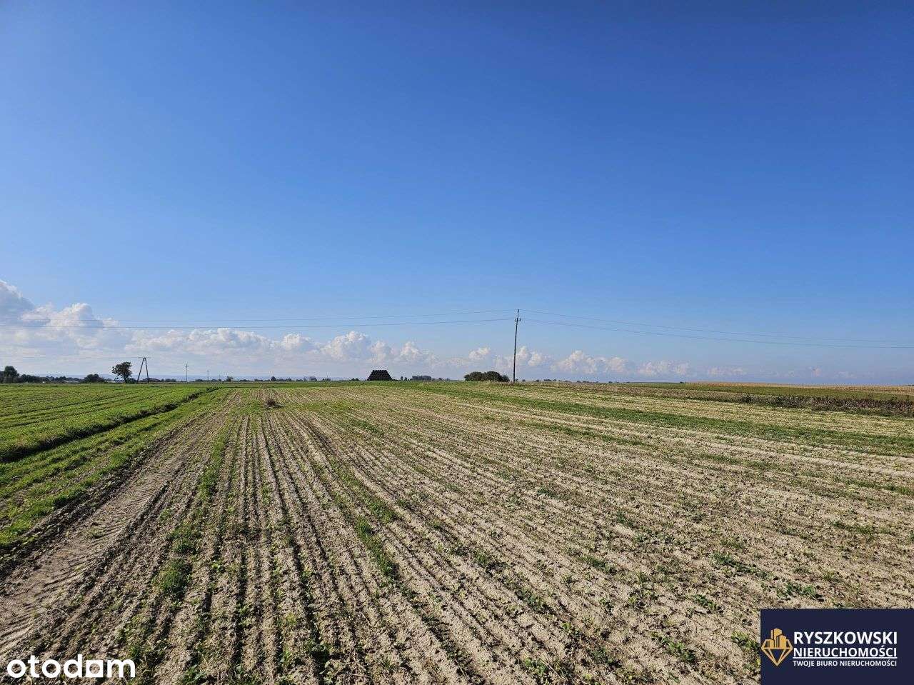 Siedliska-Kolonia działki po 1450 m2 z wydanymi Wz-6