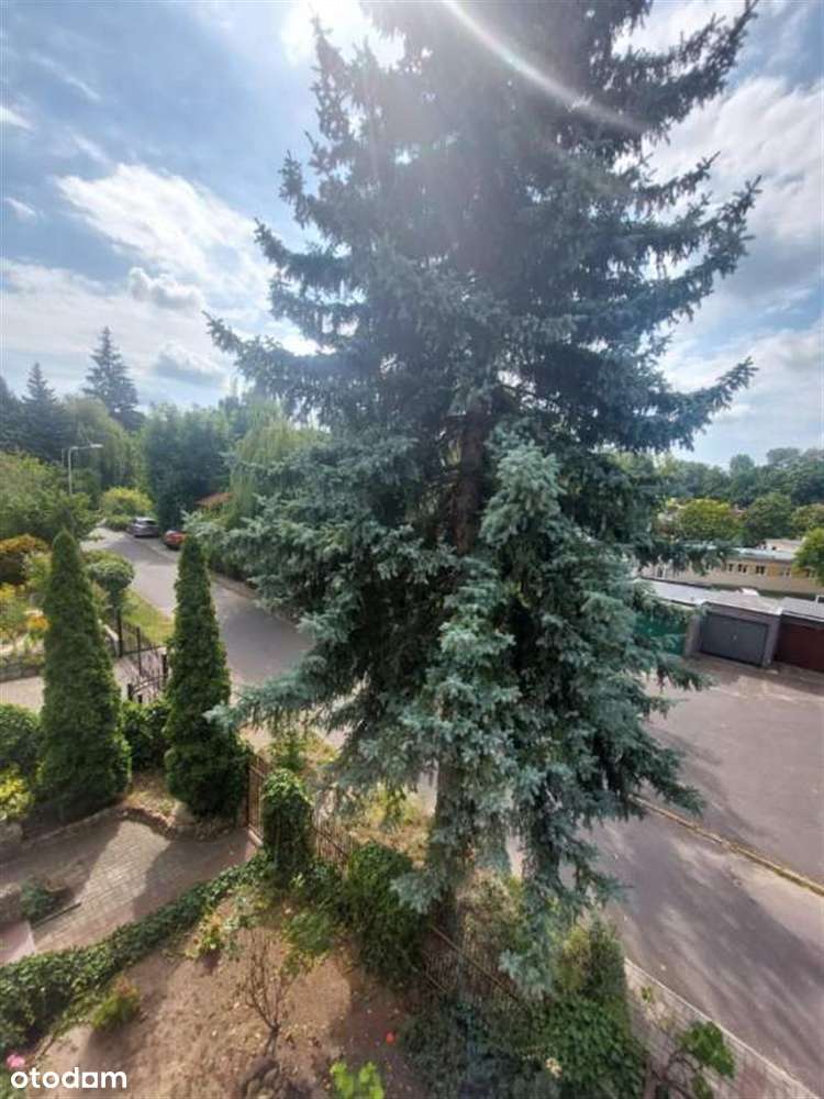 Wolnostojący dom w centrum miasta!-17