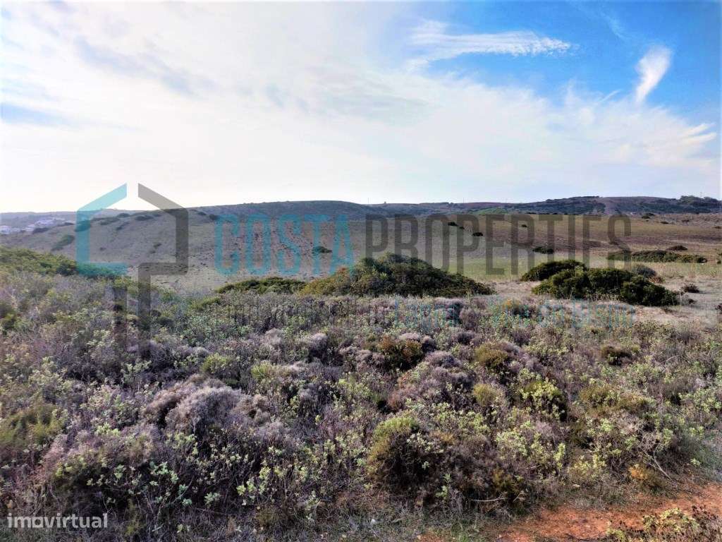 Terreno Rústico com Vista Desafogada - Grande imagem: 3/12