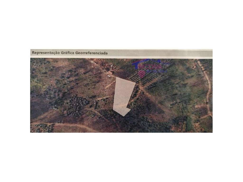 Terreno rústico em Vila Facaia-6